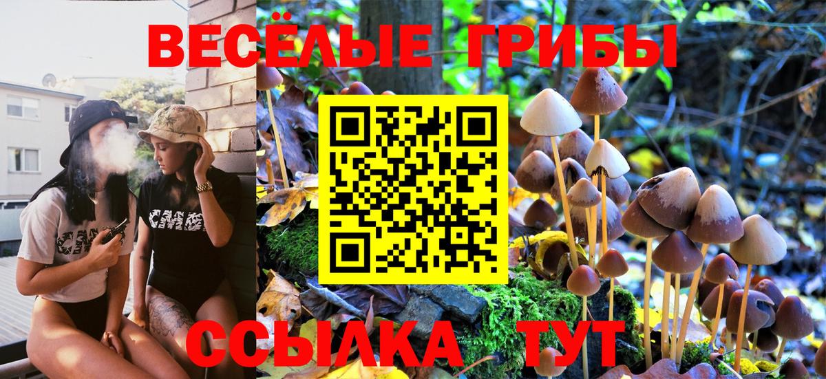 Галлюциногенные грибы Magic Shrooms  Вход с VPN  Псилоцибиновые грибы MAGIC MUSHROOMS  Сызрань 